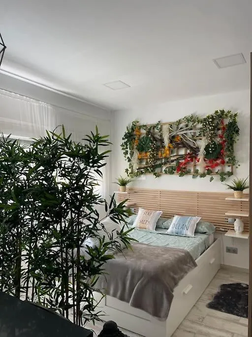 Casa Maui Apartment Marbella 0*,